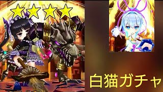 白猫実況【2】