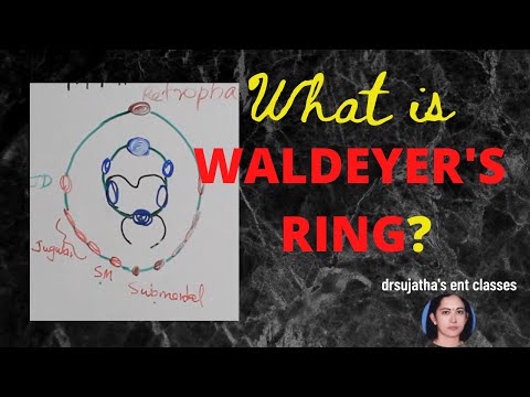 169.Waldeyer's Ring #anatomy waldeyer's ring #shortnotes in medicine #tonsillitis #lymphsystem