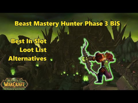 Phase 3 Beast Mastery Hunter BiS and Prio Guide | TBC Classic