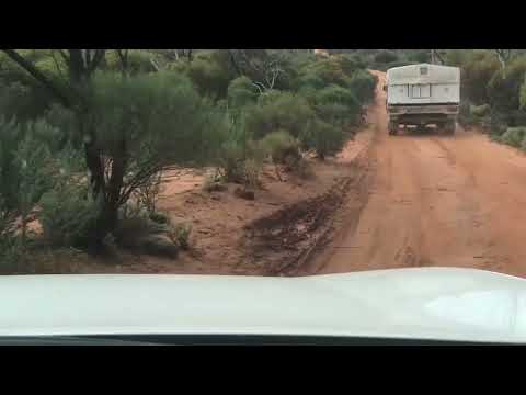 Googs Track Mt Fink link track