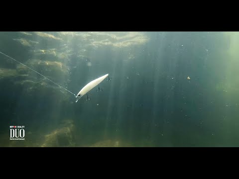 Lure Masterclass: Realis Jerkbait 120SP - How To