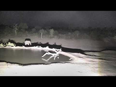 Djuma: Lone Elephant gets a quick drink as it walks by - 23:58 - 11/21/18