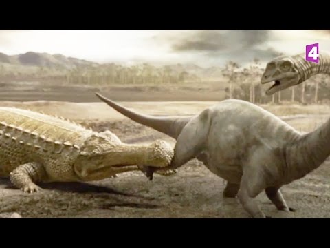 Sarcosuchus, le crocodile géant du Crétacé