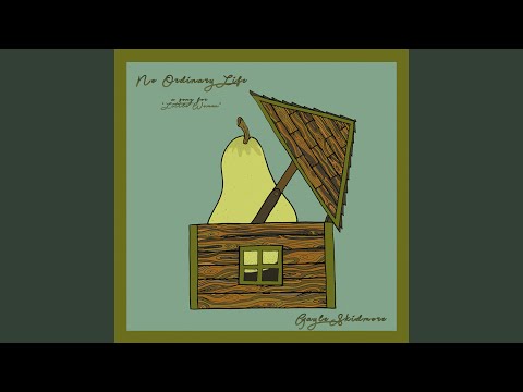 No Ordinary Life