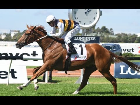 2018 ATC Ranvet Stakes