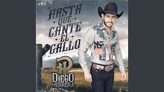 Dime Si Ya Te Perdí Music Video