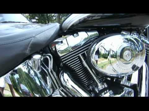 Eloise Whittaker - Harley.wmv