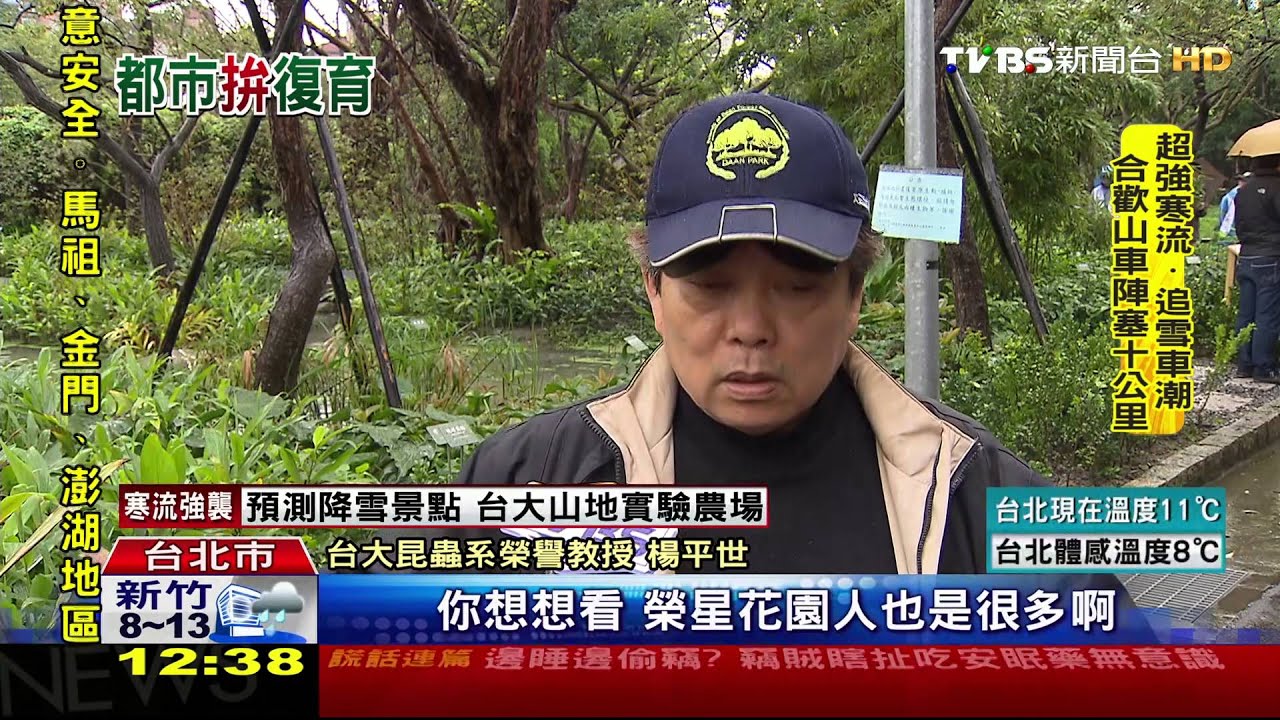 不可能任務？　大安森林公園復育螢火蟲