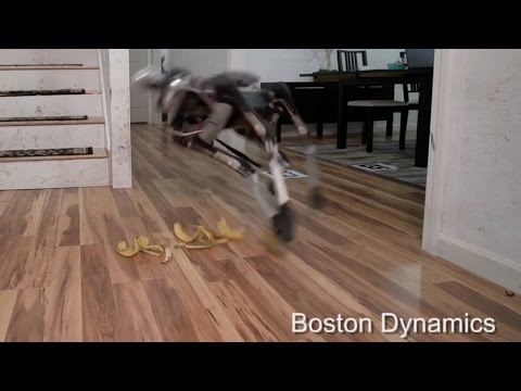 Boston Dynamics' New Robot Dog Is Defeated By Banana Peels