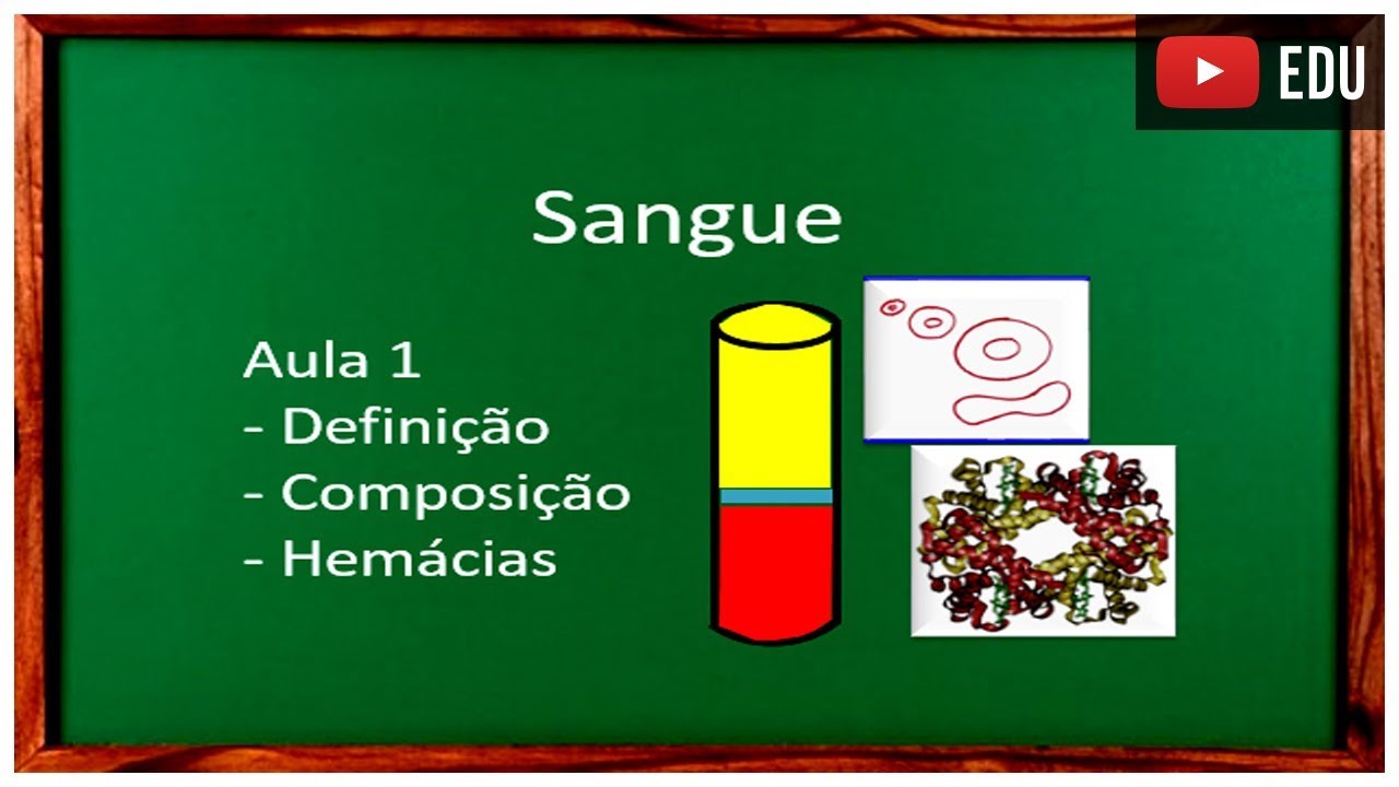 Aula 1 Sangue Hemácias