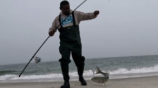 One of the  Fishing Lures'  Colours You  Must Have | Surf Fishing Long Island, NY  #bluefishing