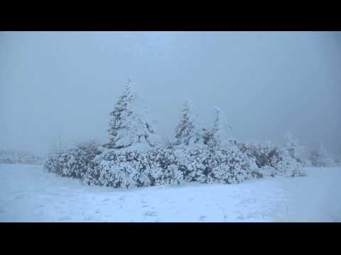Roan Mountain in Winter