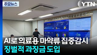 AI로 의료용 마약류 집중감시..."징벌적 과징금 도입" / YTN