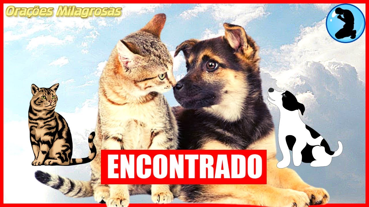 🐶 LEARN THE INFALLIBLE PRAYER TO FIND YOUR MISSING PET 🐱 [MIRACLE PRAYERS]