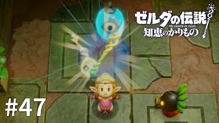 ゼルダの伝説 知恵のかりもの #47【ベトベトな杖を手に入れた（不満顔）】