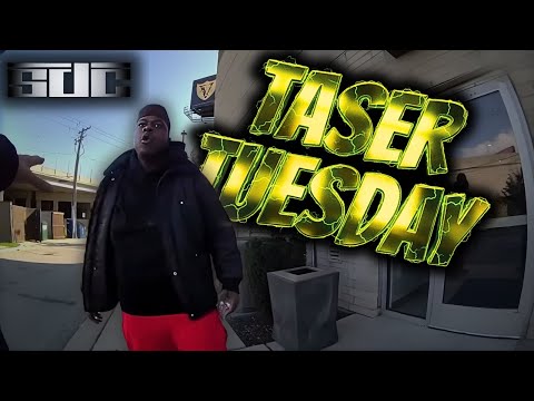 Taser Tuesday | Literally Begging for It