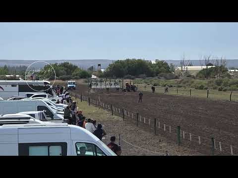 Dolavon-Chubut.2°CarreraGanador 🥇Vagoneta- Los Altares🥈Zorrito 