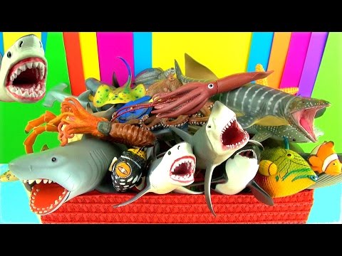 Shark Toys Collection Whales Fish Turtles Toys for Kids Tiburón Tubarão Jaws