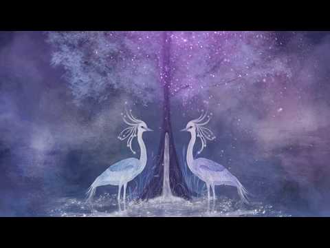 Relaxing music, Spa music, Study music  "Star Dreams" by Tim Janis