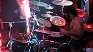 Despised Icon - Warm Blooded