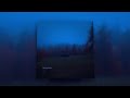 Ødyzon Sleepless 1 Hour Loop