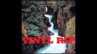 Cat Stevens - Daytime (1978 Scandinavian Vinyl)