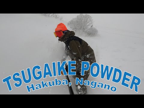 【スノボー】バフバフな栂池高原をクルーシング【パウダー】