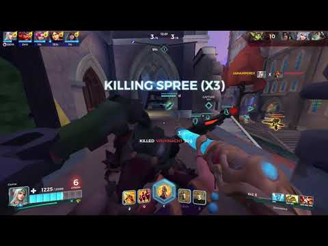 the paladins experience