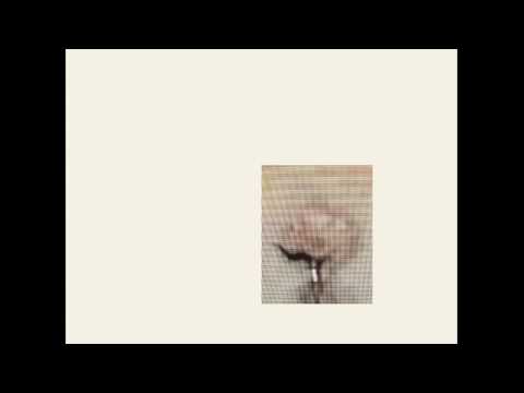 Balmorhea - Clear Language [Full Album]
