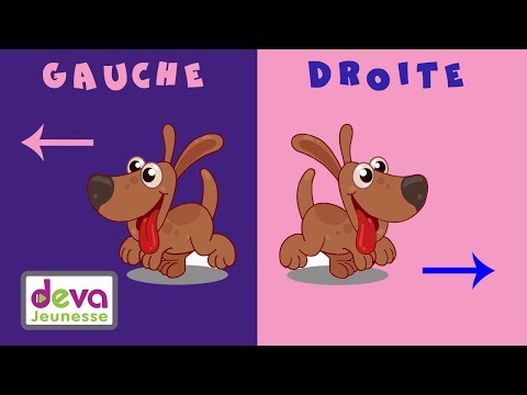A droite, à gauche (Le sens, la direction) Comptine Educative