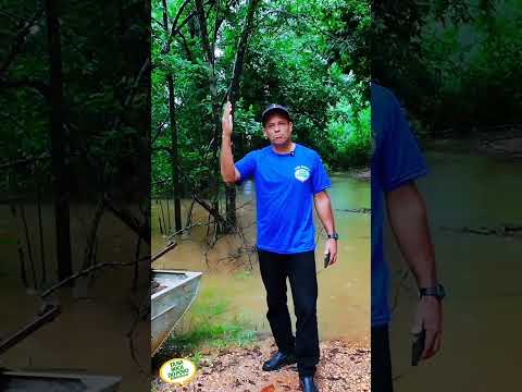 Situação do rio das velhas em santo hipolito 24 de janeiro 2026