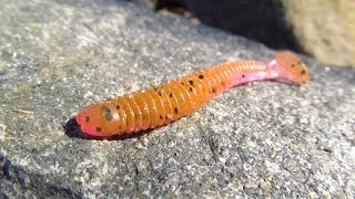 Crazy fish vibro worm 3