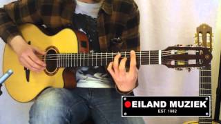 Video thumbnail for Yamaha NTX700 by Eiland Muziek