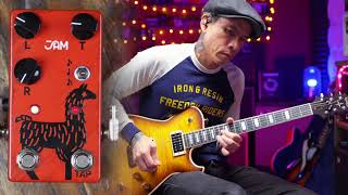 Video thumbnail for JAM Pedals Delay Llama Mk3 | Bucket Brigade Delay pedal by R.J. Ronquillo