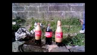 preview picture of video 'Cortona mentos + coca cola esplosione Sebastian'