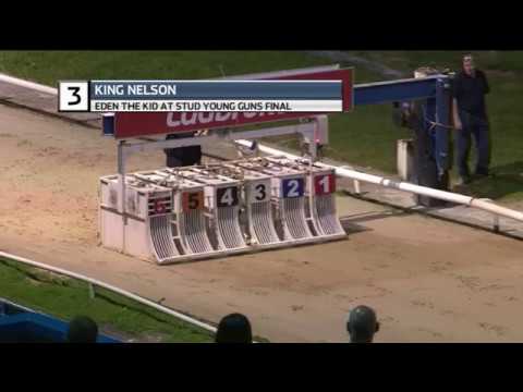 2018 EDEN THE KID AT STUD PUPPIES FINAL - T3 KING NELSON