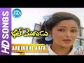 Aadindhe Aata Video Song Bhale Mogudu Movie Rajendra Prasad Rajani Sathyam