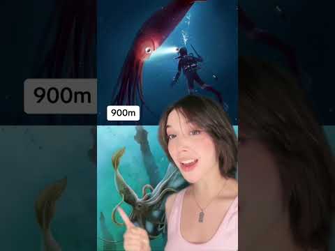 ¿Qué puedes encontrar dependiendo la profundidad del océano? | Beth Cast