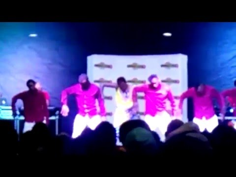 link 254 @ system rave 2015