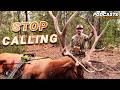 How to SHADOW a Herd Bull — Spot and Stalk Elk Tactics Nobody Talks About