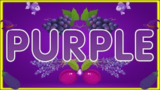 Color Purple | Learn the Color Purple with Examples