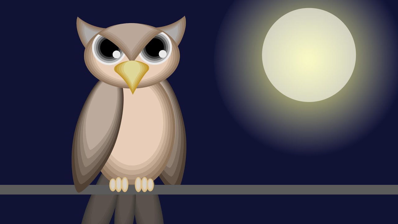 Drawing vector owl art in adobe illustrator #illustrator #owlart #vector