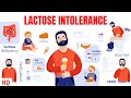 Lactose Intolerance: Everything You Need To Know