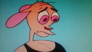 Ren &amp; Stimpy amv are you crazy