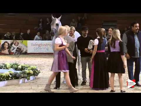 1st Place N.90 MARJAN ALBIDAYER - Wels 2015 - National Sr Stallions Championship (Class 18)