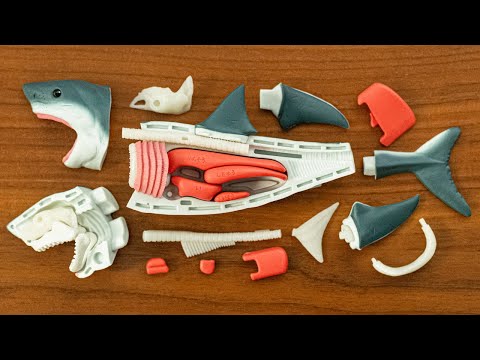 ホホジロザメ解体パズルで食す！大量サメグッズ Great White Shark demolition puzzle. Japanese toy. JAWS
