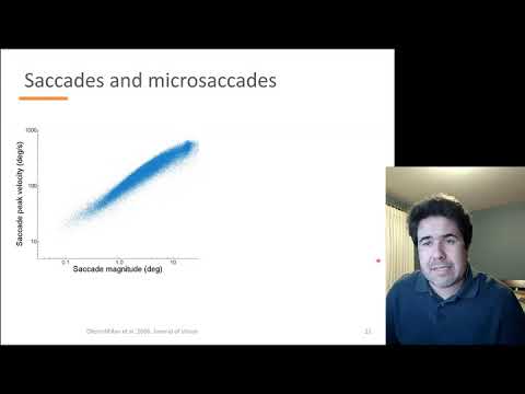 Microsaccades | Jorge Otero-Millan
