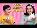 NEW FAMILY MEMBER Apna Pet Aagaya Short Movie Of Our Pets Aayu And Pihu Show