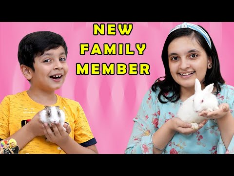 NEW FAMILY MEMBER | Apna pet aagaya | Short movie of our pets | Aayu and Pihu Show NEW FAMILY MEMBER | Apna pet aagaya | Short movie of our pets | Aayu and Pihu Show