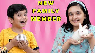 NEW FAMILY MEMBER | Apna pet aagaya | Short movie of our pets | Aayu and Pihu Show